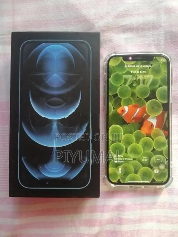 Apple iPhone 12 Pro 512GB (Used)