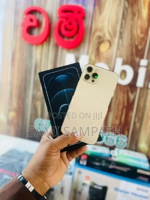 Apple iPhone 12 Pro Max (Used)