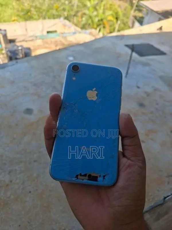 Apple iPhone XR (Used)