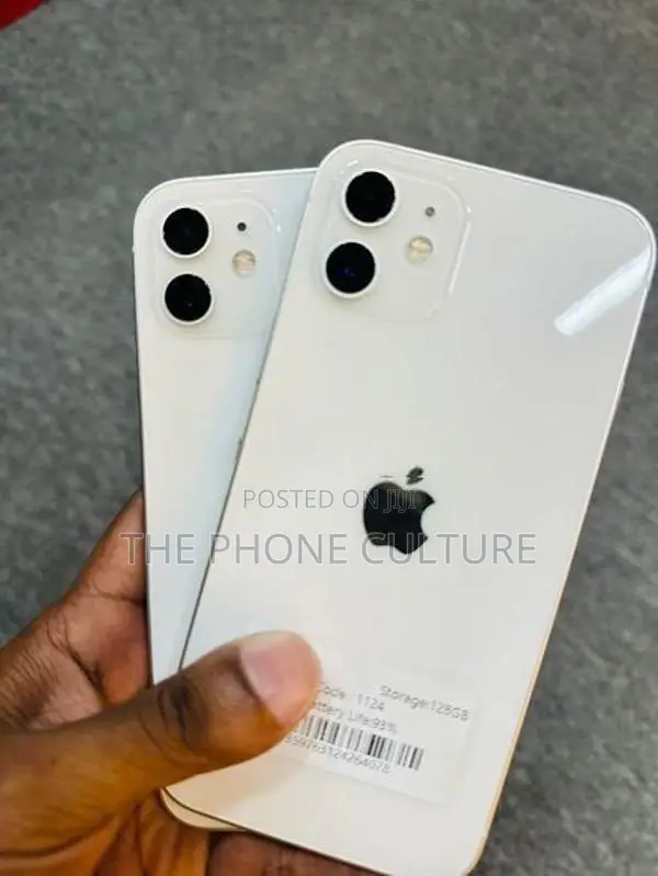 Apple iPhone 12 (Used)