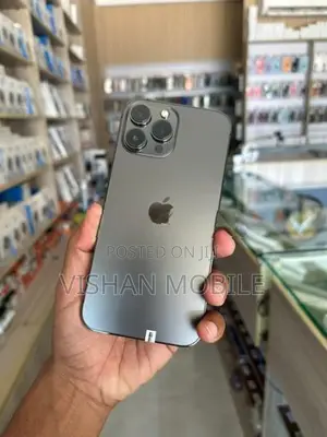 Apple iPhone 13 Pro Max (Used)