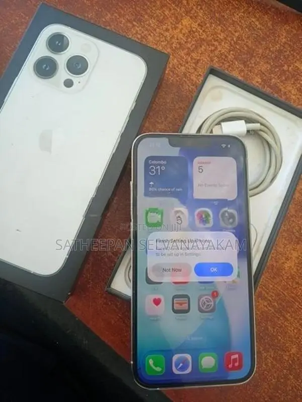 Apple iPhone 13 Pro (Used)