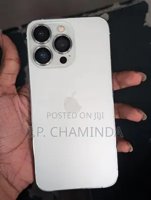 Apple iPhone 13 Pro (Used)