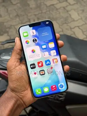 Apple iPhone 13 Pro Max (Used)