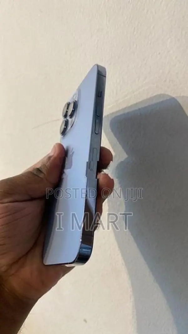 Apple iPhone 13 Pro (Used)