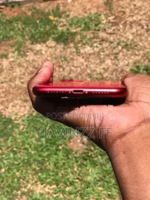 Apple iPhone 11 (Used)
