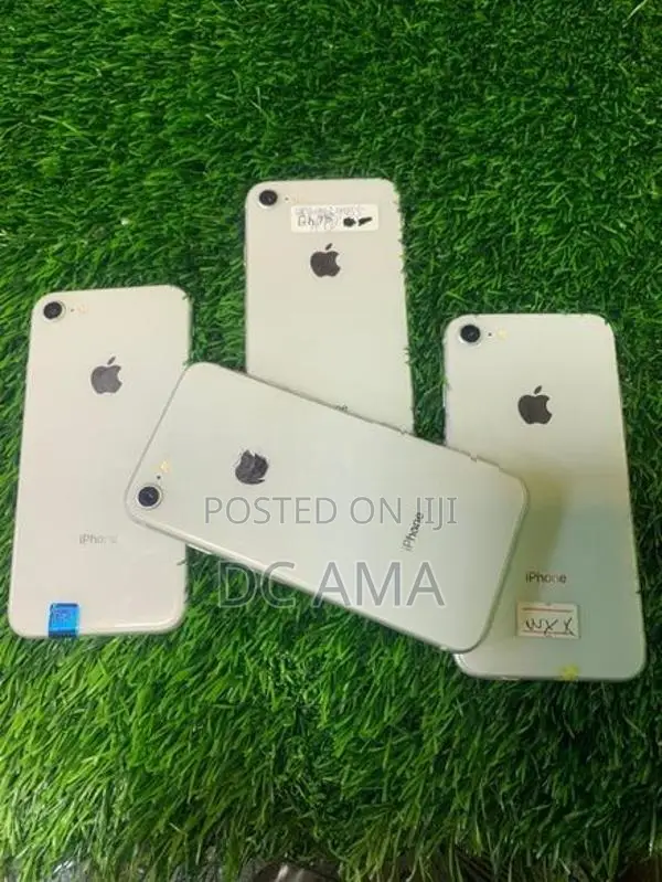 Apple iPhone 8 (Used)