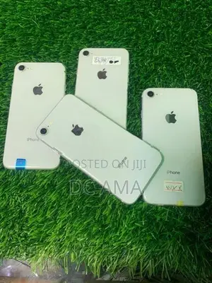 Apple iPhone 8 (Used)
