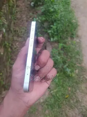 Apple iPhone 13 mini (Used)