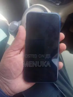 Apple iPhone 12 (Used)