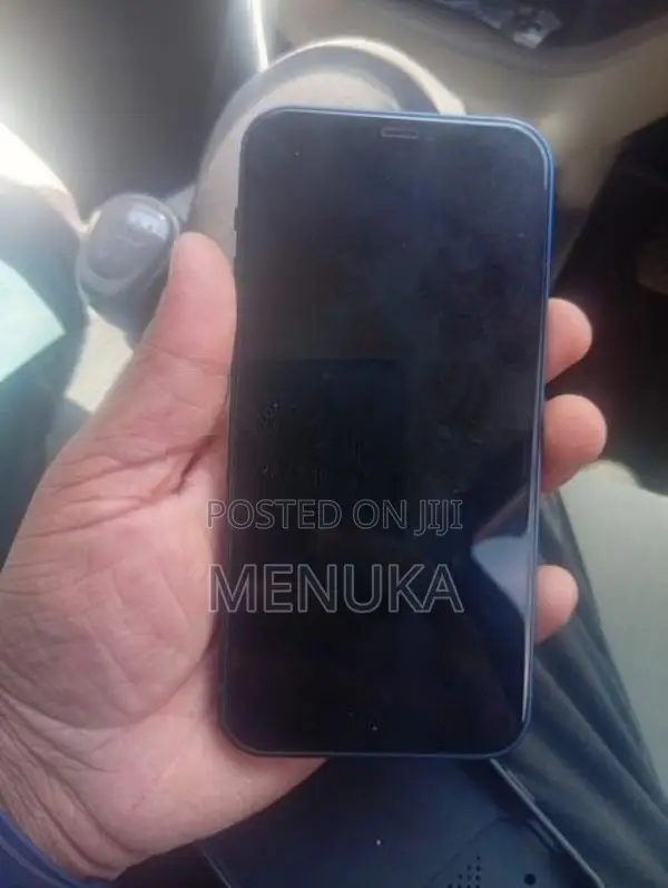 Apple iPhone 12 (Used)