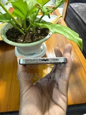 Apple iPhone 15 Pro Max (Used)