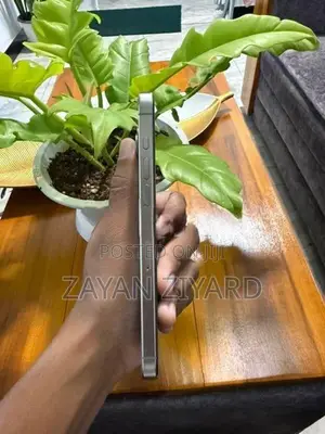 Apple iPhone 15 Pro Max (Used)