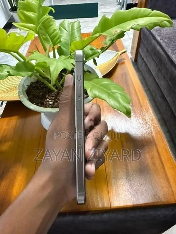Apple iPhone 15 Pro Max (Used)