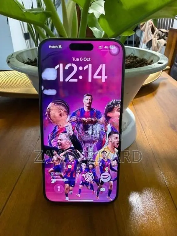 Apple iPhone 15 Pro Max (Used)