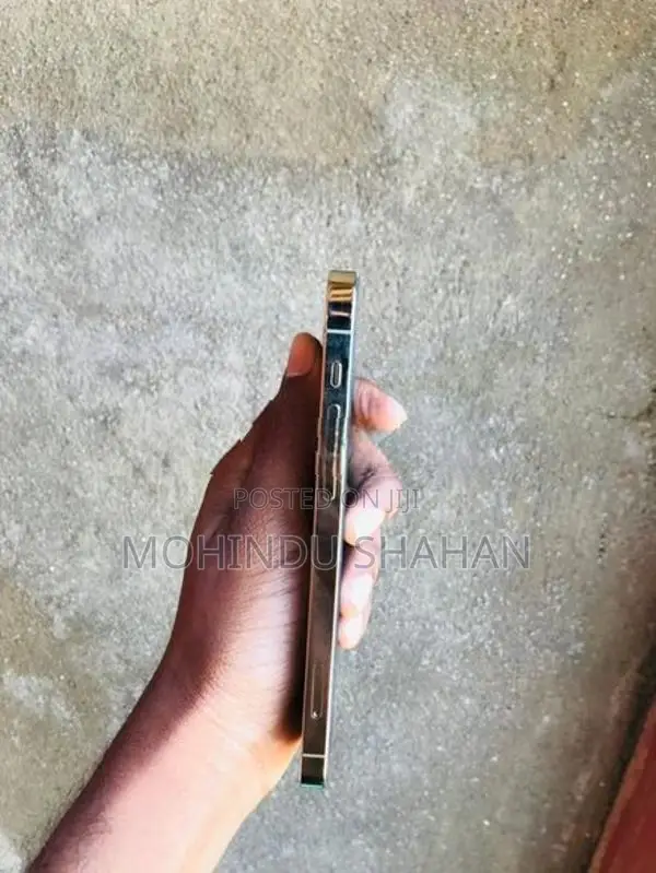 Apple iPhone 12 Pro (Used)