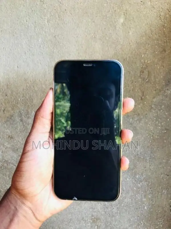 Apple iPhone 12 Pro (Used)