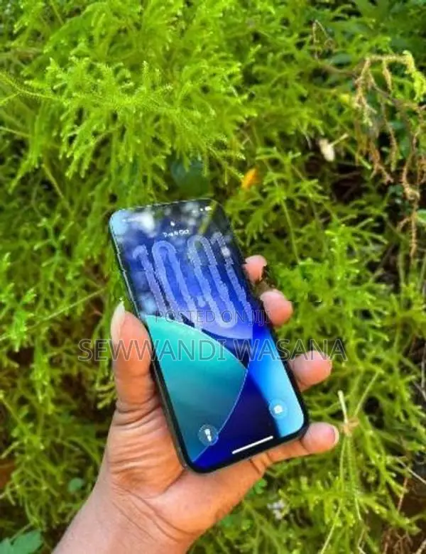 Apple iPhone 13 (Used)