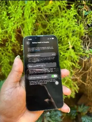 Apple iPhone 13 (Used)