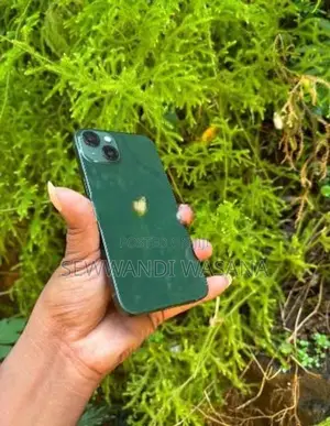 Apple iPhone 13 (Used)