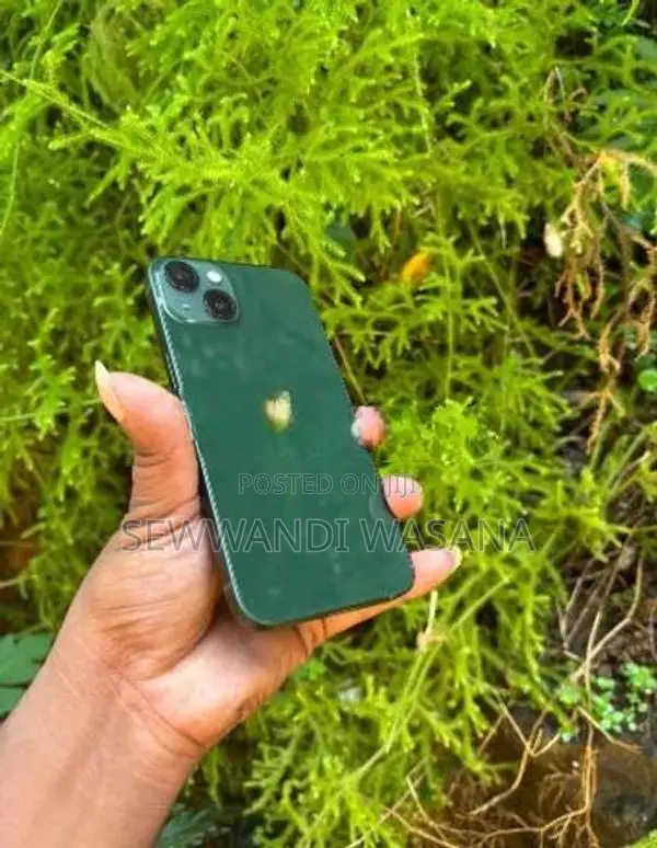 Apple iPhone 13 (Used)