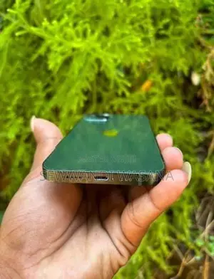 Apple iPhone 13 (Used)