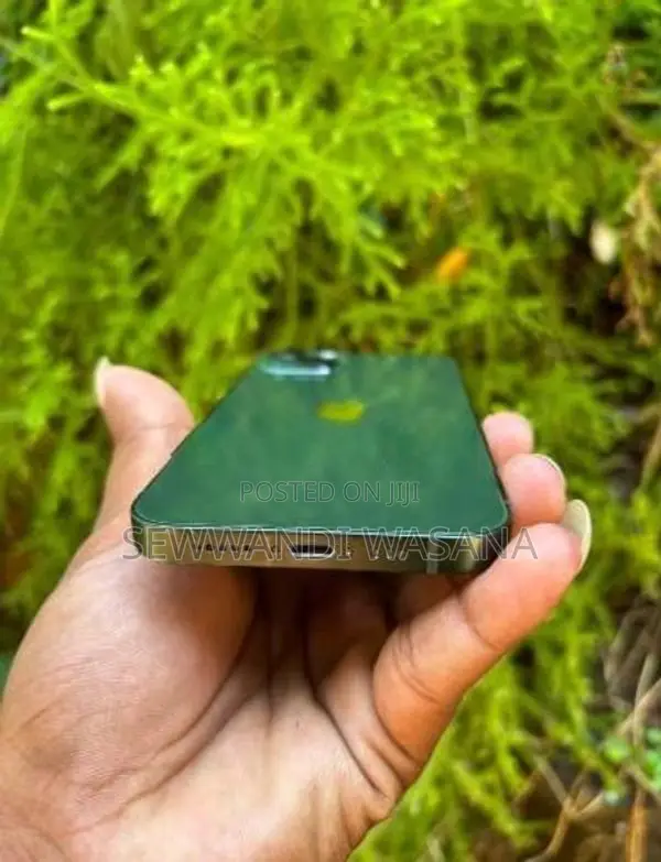 Apple iPhone 13 (Used)