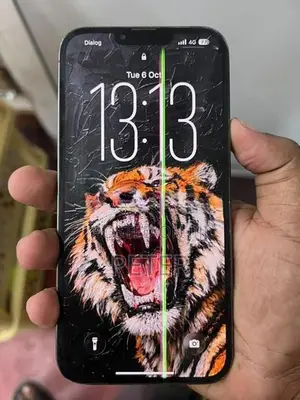 Apple iPhone 13 Pro Max (Used)