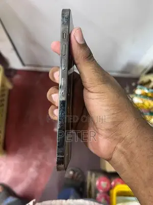 Apple iPhone 13 Pro Max (Used)