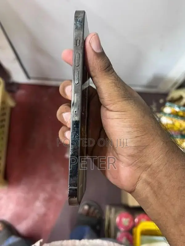 Apple iPhone 13 Pro Max (Used)