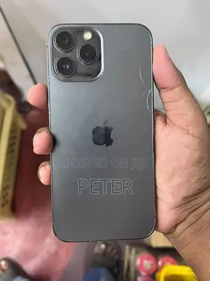 Apple iPhone 13 Pro Max (Used)