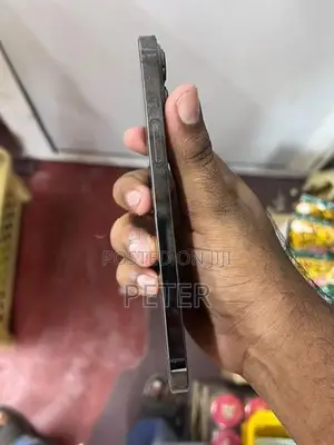 Apple iPhone 13 Pro Max (Used)