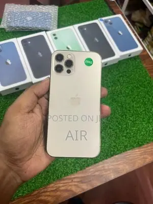Apple iPhone 12 Pro (Used)