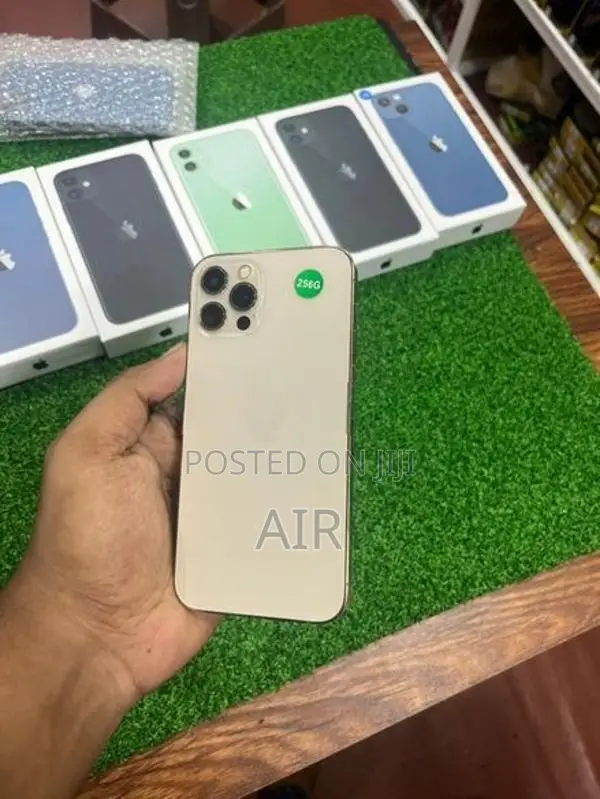 Apple iPhone 12 Pro (Used)
