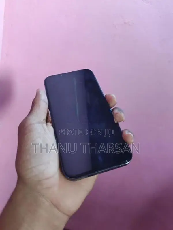 Apple iPhone 13 Pro (Used)