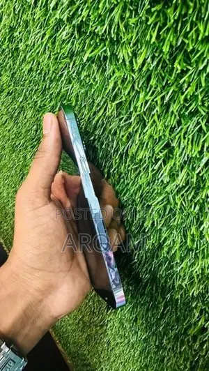 Apple iPhone 13 Pro (Used)