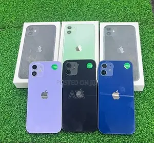 Apple iPhone 12 256GB (Used)