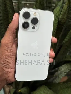 Apple iPhone 13 Pro 128GB (Used)