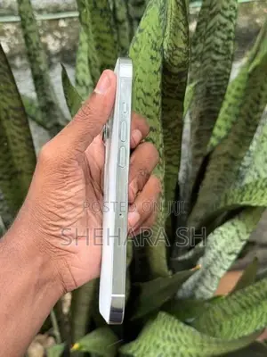 Apple iPhone 13 Pro 128GB (Used)