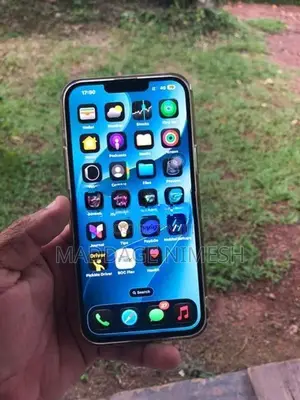 Apple iPhone 13 Pro Max (Used)