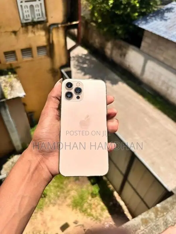 Apple iPhone 12 Pro Max (Used)