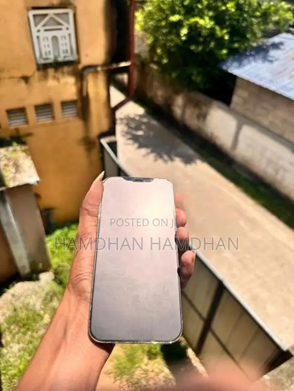 Apple iPhone 12 Pro Max (Used)