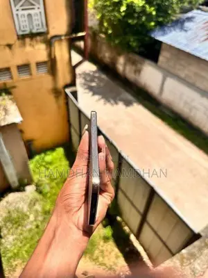 Apple iPhone 12 Pro Max (Used)