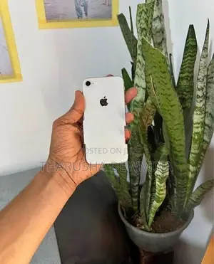 Apple iPhone 8 (Used)