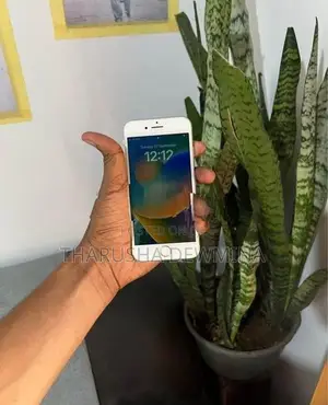 Apple iPhone 8 (Used)