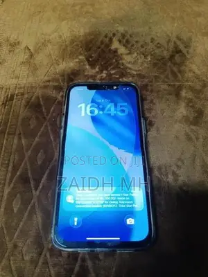 Apple iPhone 12 Pro Max (Used)