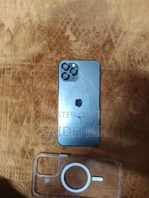 Apple iPhone 12 Pro Max (Used)
