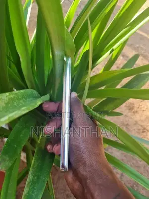 Samsung Galaxy S22 (Used)