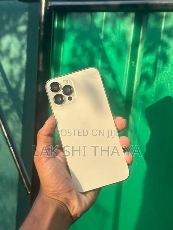 Apple iPhone 12 Pro Max (Used)