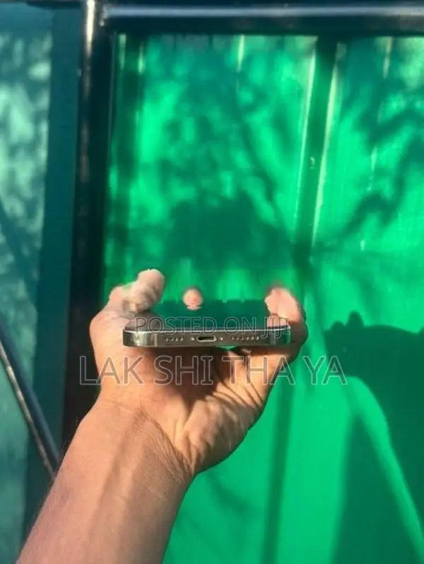 Apple iPhone 12 Pro Max (Used)